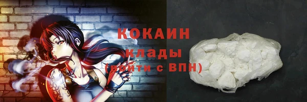 соль ск Богородицк