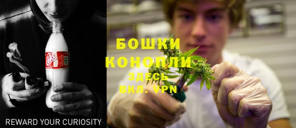 соль ск Богородицк