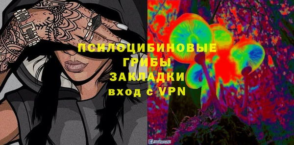 соль ск Богородицк
